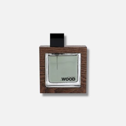 عطر دسکوارد2 هی وود راکی مانتین وود